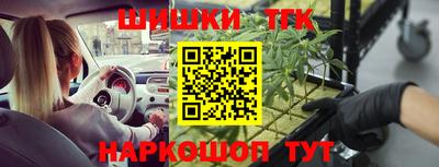 a pvp Бийск