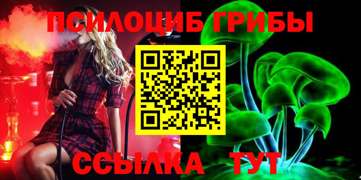 Галлюциногенные грибы Cubensis Каменск-Шахтинский