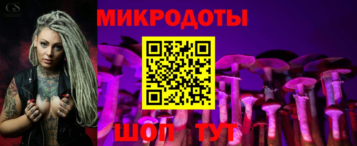 Каменск-Шахтинский  Псилоцибиновые грибы мицелий  Вход с VPN 