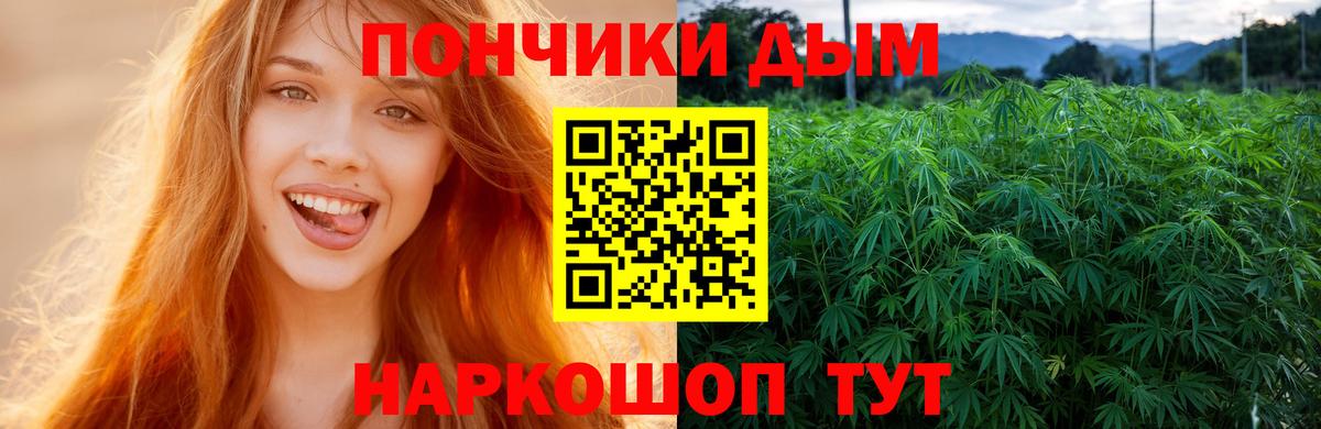 Марихуана сатива Каменск-Шахтинский